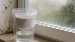Günstige DIY-Luftentfeuchter aus Alltagsmaterialien